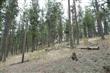 0000  Taylor Rd , Cheney, WA