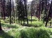 197XX N Little Spokane Dr , Colbert, WA