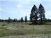 00  Williams Lake Rd , Cheney, WA