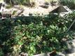 2356  Butte St , Redding, CA