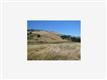 2495 Bridle Path Dr, Gilroy, CA 95020