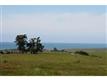 Cambria