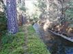 2945 Pennsylvania Gulch Road, Murphys, CA 95247