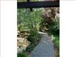 1239  Shelter Creek Ln 