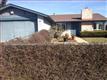 1585  Yankee Point Ct , San Jose, CA