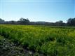 0 Stage Rd, Pescadero, CA 94060