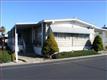 1225  Vienna Dr #313 , Sunnyvale, CA