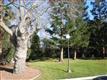 22192  Bitter Oak St , Cupertino, CA
