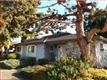 1596  Mendenhall Dr , San Jose, CA