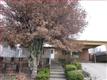 995  Suiter St , Hollister, CA