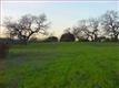 Los Altos Hills