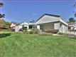 6336  Whaley Dr , San Jose, CA