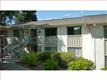 5539  Cribari Ci , San Jose, CA