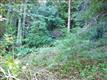 0  Granite Creek Dr , Scotts Valley, CA