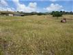 San Jose