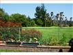 305  Lockwood Ln , Scotts Valley, CA