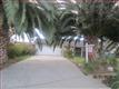 1171  Cosco Ct , Hollister, CA