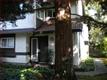 7149  Rouse Ct , San Jose, CA