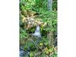 945 Deer Creek Rd, San Lorenzo Valley, CA 95006