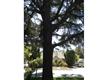 2012 Leghorn St, Mountain View, CA 94043