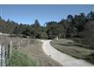 941 Lewis Rd, North Monterey County, CA 95076