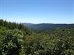 7205 Redwood Retreat Rd, Gilroy, CA 95020