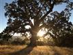 23850 Lambert Flat Rd, Carmel Valley, CA 93924