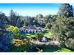 Cupertino