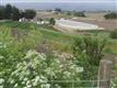 East Santa Cruz County