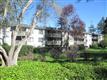 San Bruno