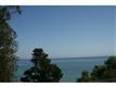 Capitola