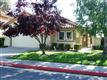 17097  Tassajara Ci , Morgan Hill, CA