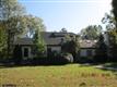 530  Pine Needle 