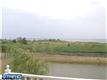 141 Dunlin Lane, West Atlantic City, NJ 08234