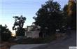 Rosemead