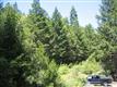 Grants Pass