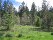 Grants Pass