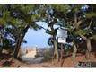 114  Chesapeake St , Dewey Beach, DE