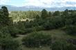 170  Lynx Lane , Ridgway, CO