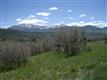 Telluride