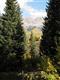 104  Snowfield , Mountain Village, CO