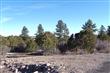 715  Canyon Drive 