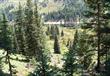 Silverton