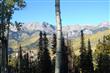 155  Cortina Drive , Mountain Village, CO