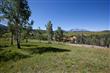 124  Singletree Ridge , Mountain Village, CO