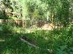 20  River Trail , Placerville, CO
