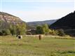1151  Meadows Circle , Ridgway, CO