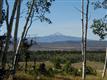 F2  Brown Ranch , Placerville, CO