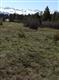 644 S Badger Trail , Ridgway, CO