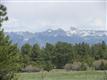 610 S Badger Trail , Ridgway, CO